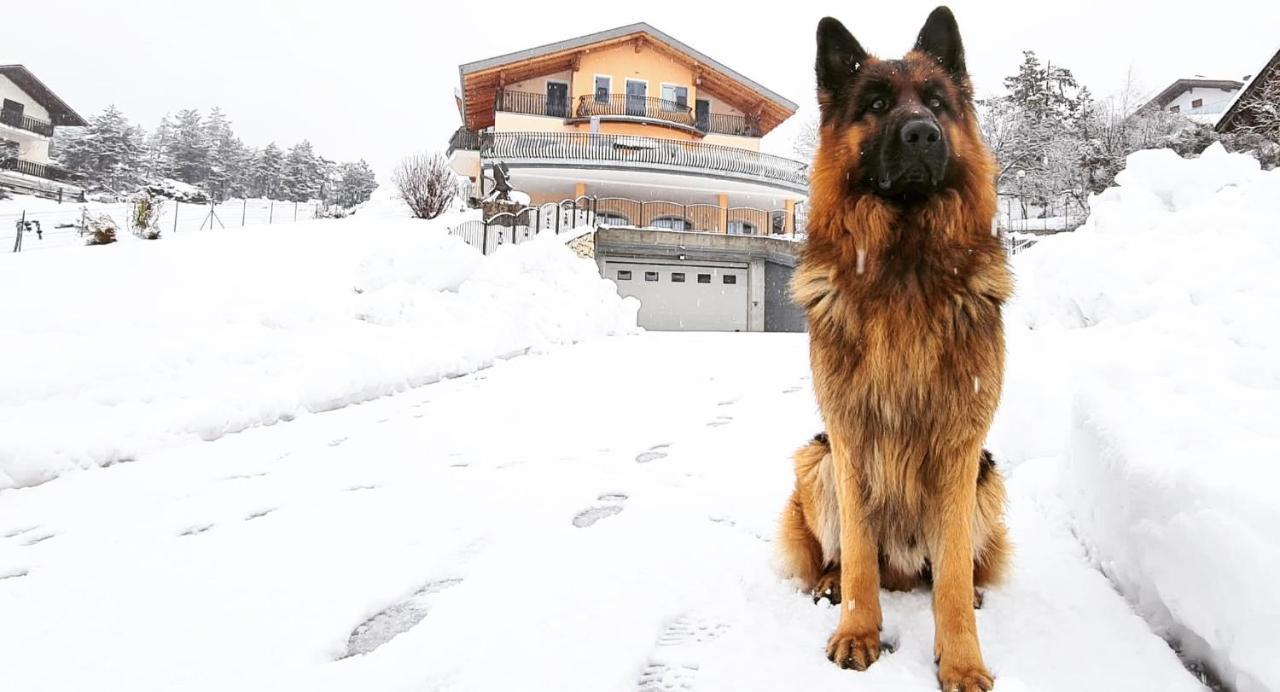 Affittacamere Dolce Sogno Coredo Buitenkant foto