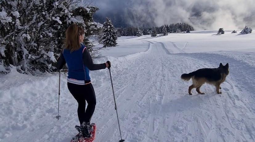 Affittacamere Dolce Sogno Coredo Buitenkant foto