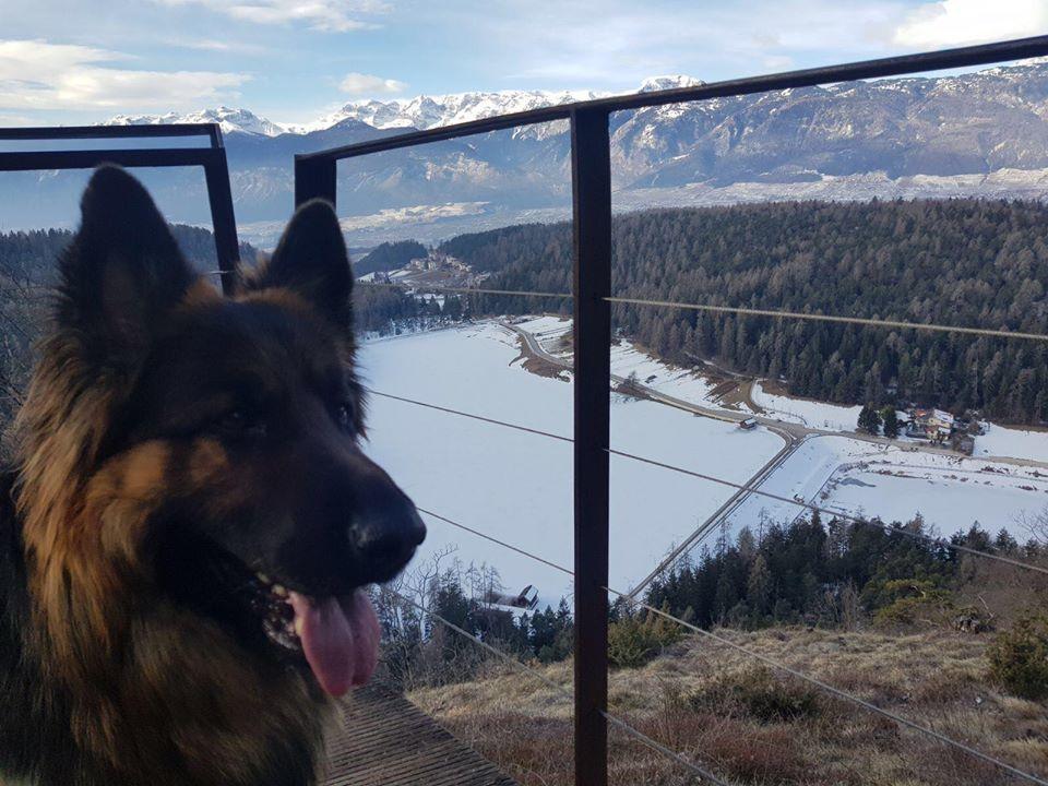 Affittacamere Dolce Sogno Coredo Buitenkant foto