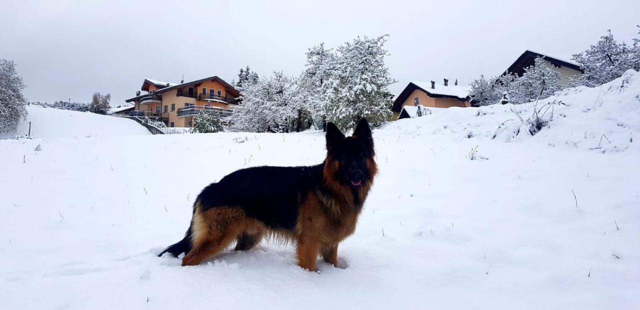Affittacamere Dolce Sogno Coredo Buitenkant foto
